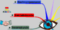 kv-mindmap